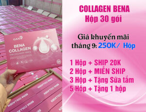Bảng giá collagen bena