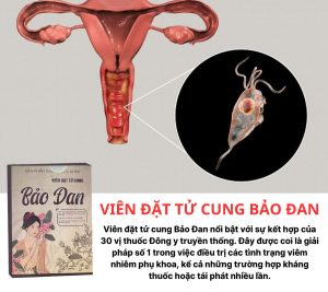 Cách sử dụng viên đặt bảo đan