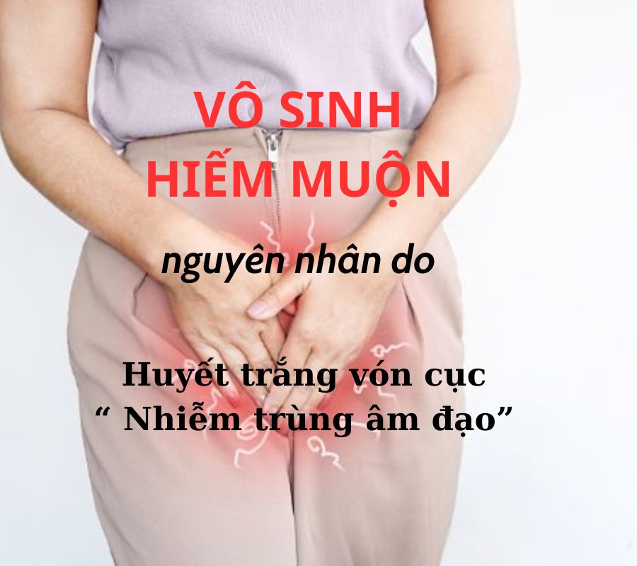 Vô sinh hiếm muộn do nhiễm trùng âm đạo