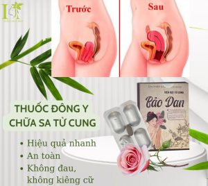 Thuốc đông y chữa sa tử cung