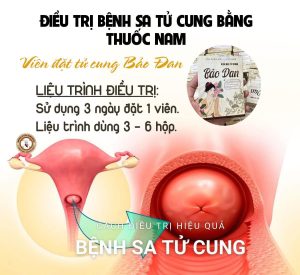 Thuốc đông y chữa sa tử cung hiệu quả nhất