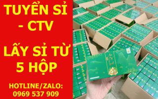 TUYỂN SỈ AN CỐT LINH