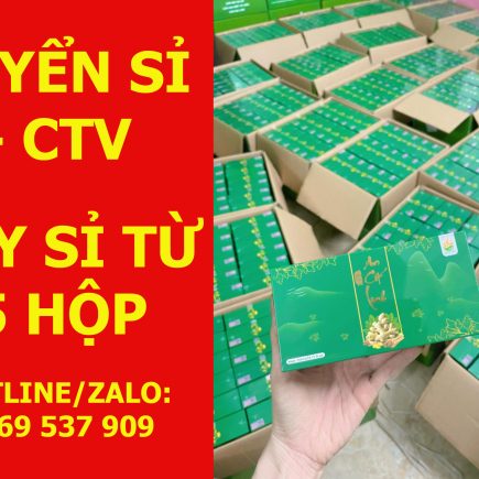 TUYỂN SỈ AN CỐT LINH