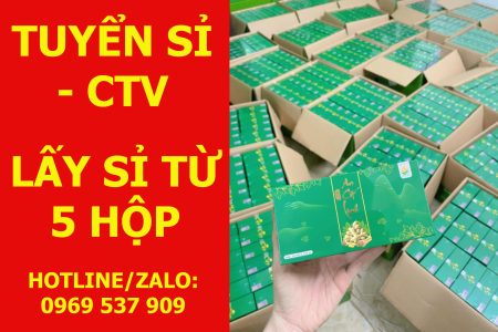 TUYỂN SỈ AN CỐT LINH