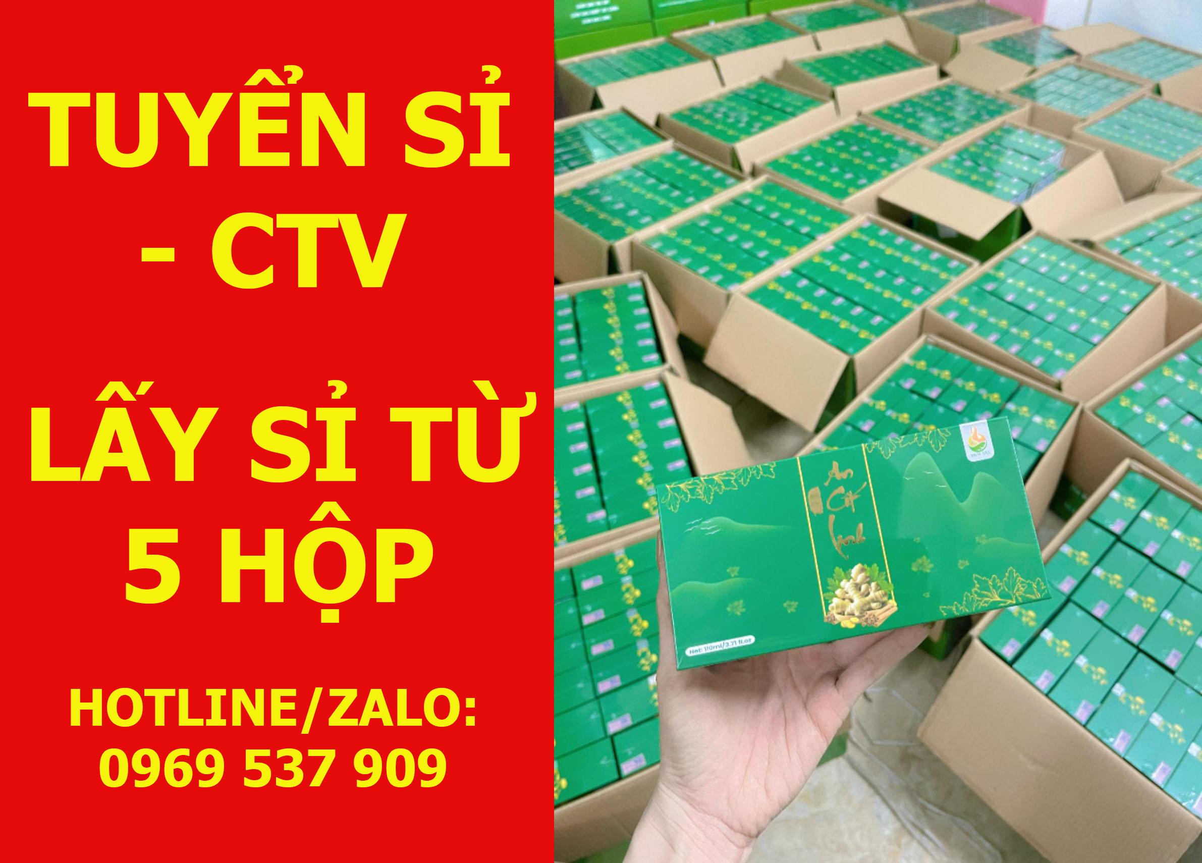 TUYỂN SỈ AN CỐT LINH