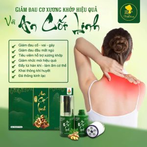 Con lăn massge An cốt Linh - Ảnh 3