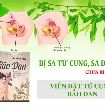 Bệnh sa thành âm đạo