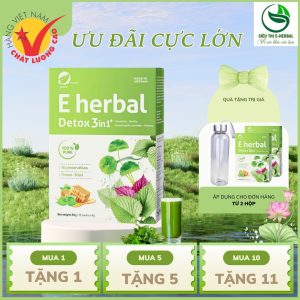 detox 3in1 eherbal
