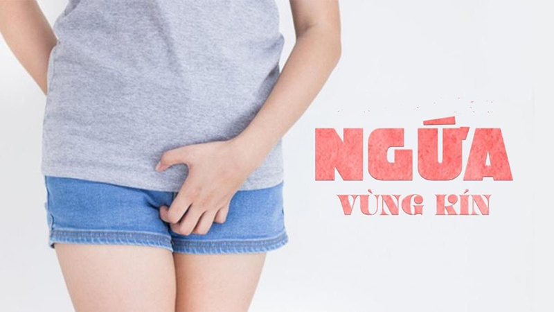 ngứa lông mu